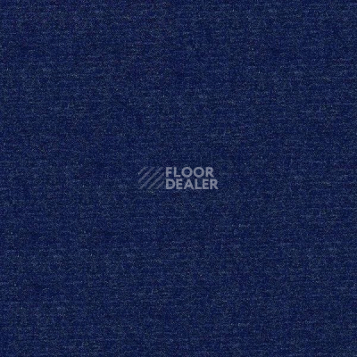 Ковролин Radici Abetone Bleu 2069 фото 1 | FLOORDEALER